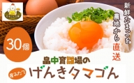 畠中育雛場のげんきタマゴん 30個 《30日以内に順次出荷(土日祝除く)》福岡県 鞍手郡 小竹町 卵 送料無料 有限会社畠中育雛場