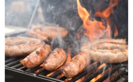 ソーセージ 神奈川県 綾瀬市発 ブラジル 食材 セット 詰め合わせ 肉 お肉 加工品 豚肉 鶏肉 コロッケ 惣菜 おかず 生ソーセージ ウィンナー ウインナー ポトフ ピラフ ピザ パスタ キーマカレー 餃子