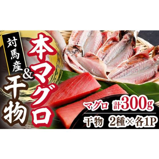 ふるさと納税 長崎県 対馬市 対馬産 養殖 本マグロ 2種  地魚 浜干し 干物 2種 セット （ 赤身 ／ 中トロ ／ 干物 ）《対馬市》 マグロ 鮪 本鮪 …