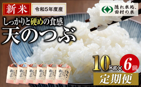 ＼新米／定期便6回 田村産 天のつぶ10kg お米 福島県 田村市 田村 贈答 美味しい 米 kome コメご飯  特Aランク  一等米 単一米 精米 国産 おすすめ お中元 送料無料  緊急支援品 生活応援 コロナ支援 ふぁせるたむら