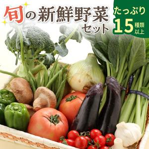 ふるさと納税 旬の新鮮野菜セットたっぷり15種以上 和歌山県御坊市