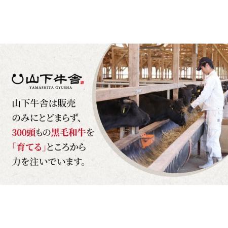 ふるさと納税 佐賀牛 牛すじ 600g（300g×2パック）黒毛和牛 牛肉 牛スジ [HAD133] 佐賀県江北町