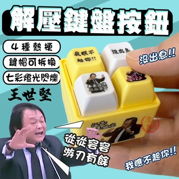 沒出息 回答我 從從容容 語音按鍵 王世堅 發光 解壓按鍵 鑰匙圈 小八嘎 抖音爆款《隔日到貨》♕京軒♕