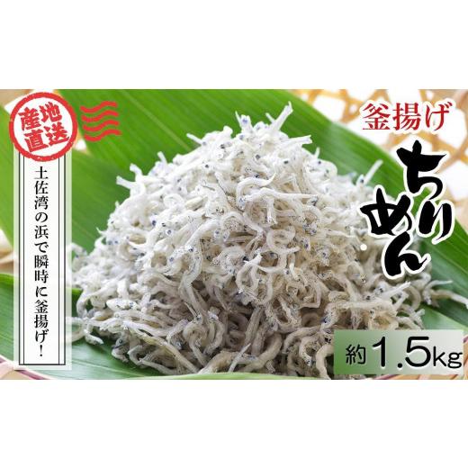 ふるさと納税 高知県 高知市 釜揚げちりめん（しらす）約1.5kg （約500ｇ×3袋）鮮度日本一を目指します！浜で瞬時に釜揚げ