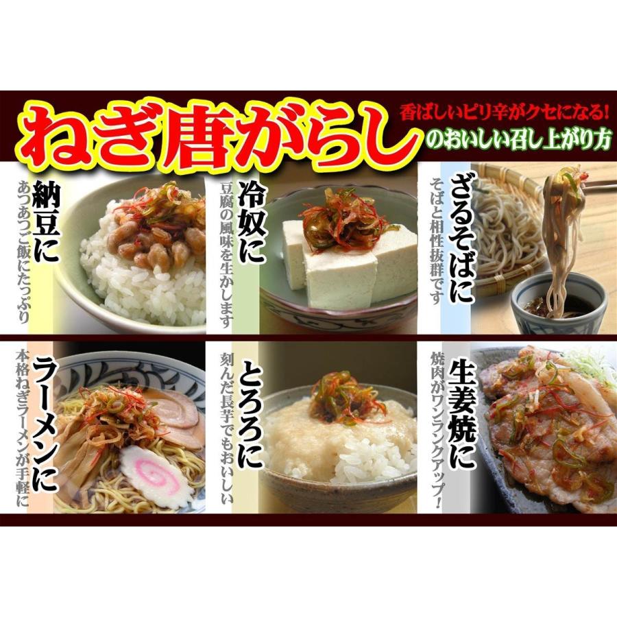 信州長野県のお土産 お惣菜 国産生ねぎ ねぎ唐辛子×6個（送料込）