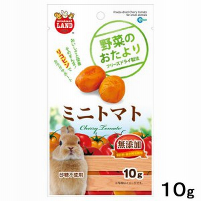 マルカン 野菜のおたより ミニトマト １０ｇ 小動物 おやつ ハムスター 餌 通販 Lineポイント最大1 0 Get Lineショッピング