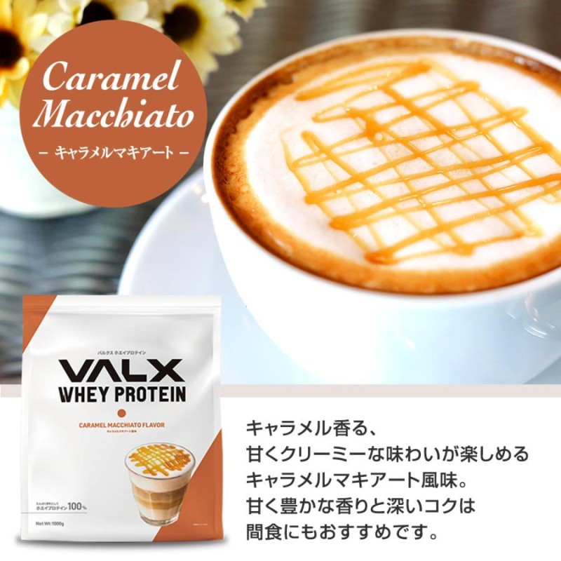 VALX (バルクス) ホエイプロテイン WPC 【14種類の味から選べる2kg