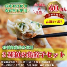 宇都宮餃子　鶏餃子　3種類味比べ(合計60個)保存料不使用