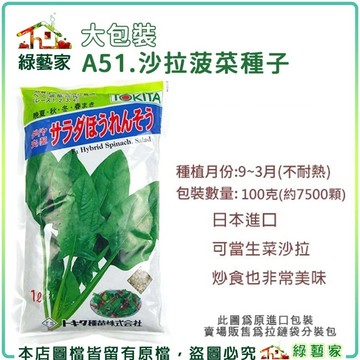 【綠藝家】大包裝A51.沙拉菠菜種子100克(約7500顆)(可當生菜沙拉.炒食也非常美味.蔬菜種子)