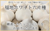 日本一たっこにんにく・12～14玉（青森県田子町産にんにくL～2L）