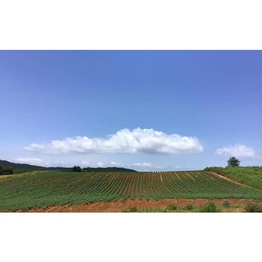 ふるさと納税 山形県 三川町 食の都庄内　月山高原のじゃがいも　約10kg