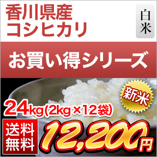 新米 令和5年(2023年)産  香川県産 コシヒカリ 白米 24kg(2kg×12袋)