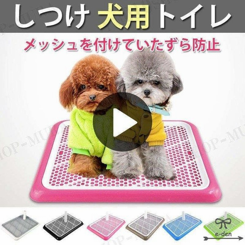 しつけ犬用トイレペットトイレトレーニングトイレ小型犬室内犬犬用イヌペット用品しつけ用ステップトレートイレ用品 通販 Lineポイント最大0 5 Get Lineショッピング