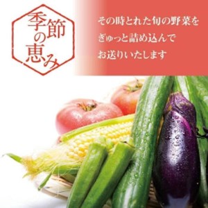 季節の恵み栃木市農産物セレクションBOX①