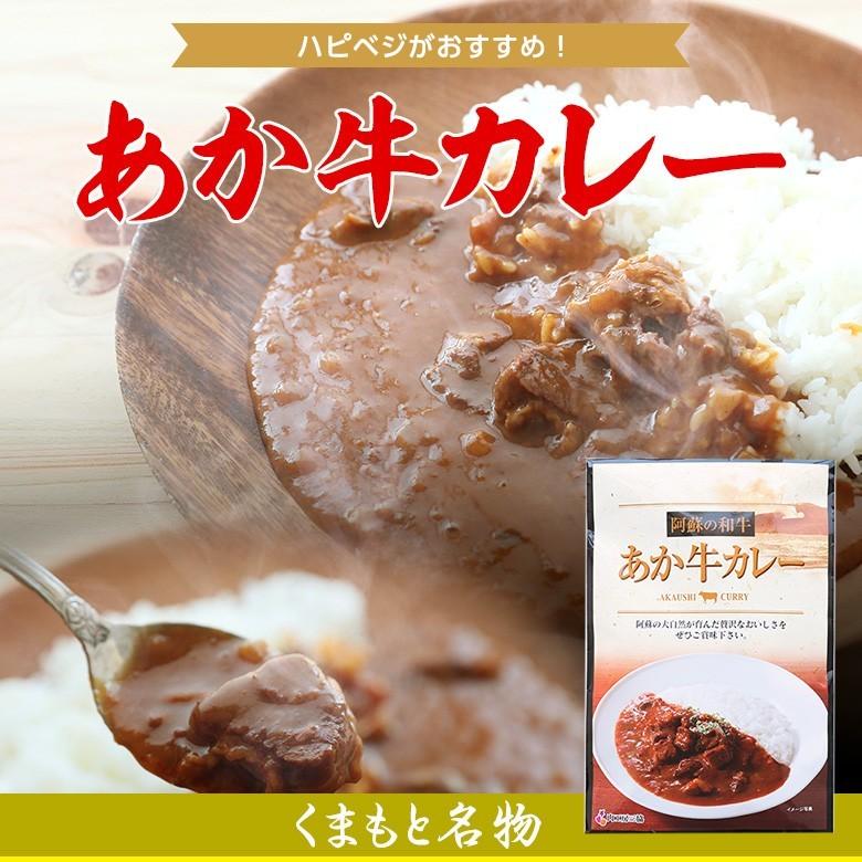 あか牛　カレー　熊本からお届け！　肉工房三協　