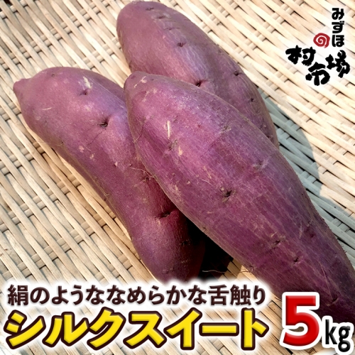 さつまいも 「 シルクスイート 」 5kg 旬 甘い 芋 いも サツマイモ スイーツ 野菜