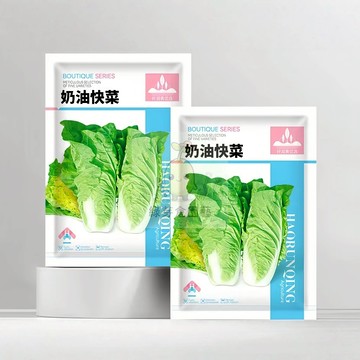 🌱【原裝蔬菜種子】🥬奶油快菜 出芽率超95% 早熟品種 土壤要求低 早熟品種 速生快長 易種植 抗病性強四季盆栽蔬菜種子