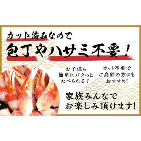 ふるさと納税 ボイル 本ズワイ蟹 爪肉 500g カット済み（2-3人前） 大阪府泉佐野市