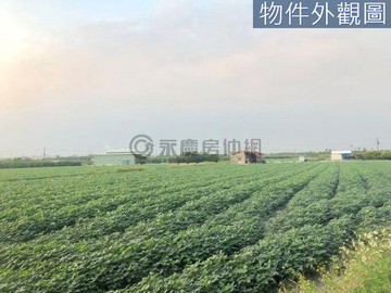 屏東南州國3旁4.29分優質農地｜屏東縣南州鄉同安段