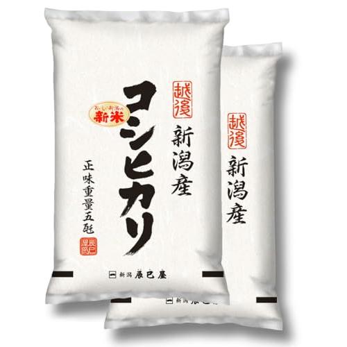 [精米] 新米 新潟県産 コシヒカリ 10kg (5kg×2袋) 白米 新潟辰巳屋 令和5年産