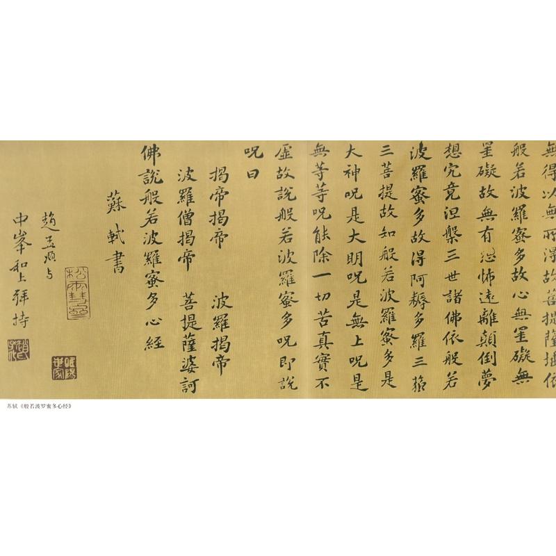 蘇軾行書　中国歴代書法名家写心経放大本系列　中国語書道 #33487;#36732;行#20070;　心#32463;