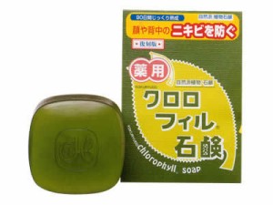 ニキビを防ぐ クロロフィル石鹸 復刻版 85g 薬用植物石鹸 クロロフィル配合 薬用石けん 顔のニキビ 背中のニキビに 黒龍堂 通販 Lineポイント最大1 0 Get Lineショッピング