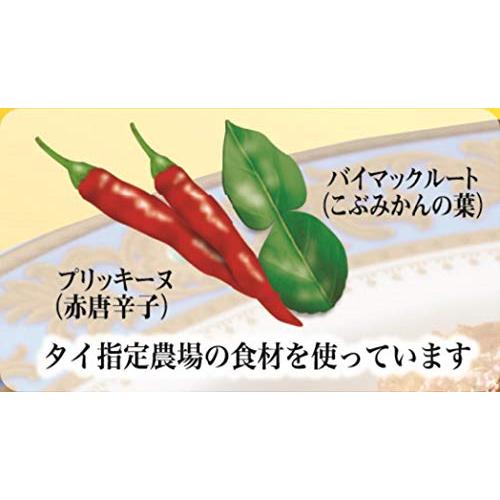 ヤマモリ タイカレープリック160g×5個