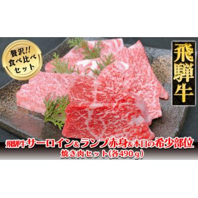 ふるさと納税 下呂市 飛騨牛サーロイン・ランプ赤身・本日の希少部位焼肉セット 各490g