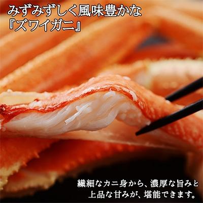 ふるさと納税 弟子屈町 ズワイガニ足 約800g 2-3人前 蟹ハサミ・ガイド付 ボイル済み 北海道 弟子屈町 1522