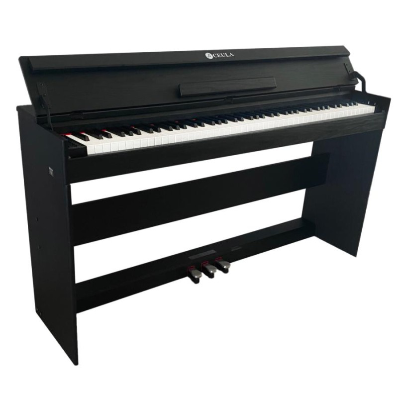 CEULA 電子ピアノ本体 ブルートゥース 88鍵 グレードハンマー3鍵盤 3本 ...