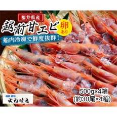 大好評!越前甘エビ　2kg(1箱約30尾入りを4箱お届けします)