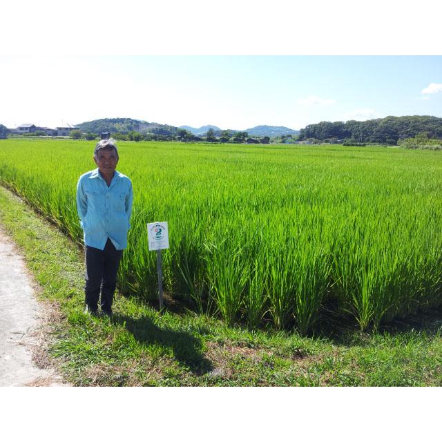 山崎さんのお米 白米 七分 玄米 10kg 自然農法 (岡山県 山崎農園) 産地直送