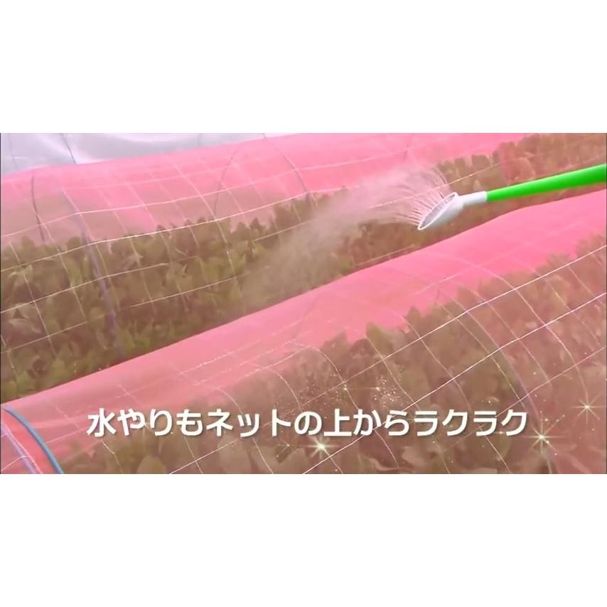 日本ワイドクロス 防虫ネット サンサンネット クロスレッド 0.8mm目 1.5mx100m 透光率70% XR2700