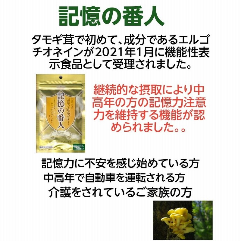 記憶の番人 タモギ茸 記憶力 注意力 エルゴチオネイン 機能性