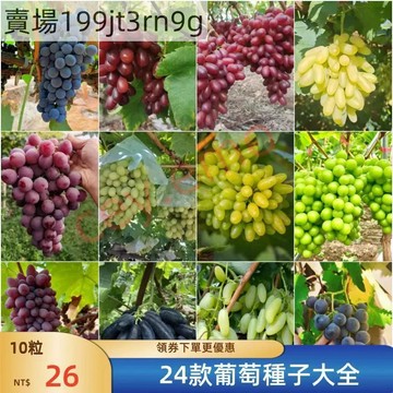 現貨🍇【24款葡萄種子】（50粒）🍇2025新種 四季高產易種植提子種子 多品種選擇 四季易種水果盆栽種籽 爬藤水果種子