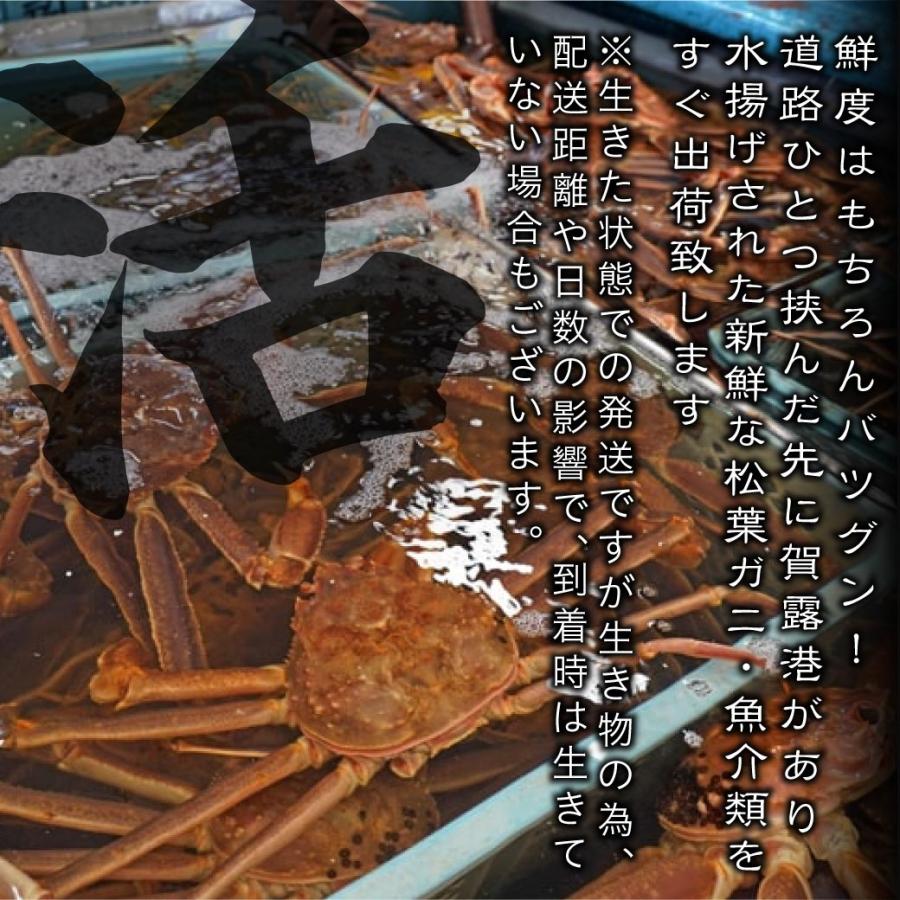 松葉ガニ  活 ボイル 訳あり 2kg 3~6枚 姿 ズワイガニ かに カニ 松葉蟹 生きたまま 松葉がに 産地直送 鳥取 送料無料（北海道・沖縄を除く）
