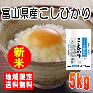 令和5年産　富山県産こしひかり5kg　※北海道・九州・沖縄は別途送料かかります。米　5kg　送料無料　5キロ