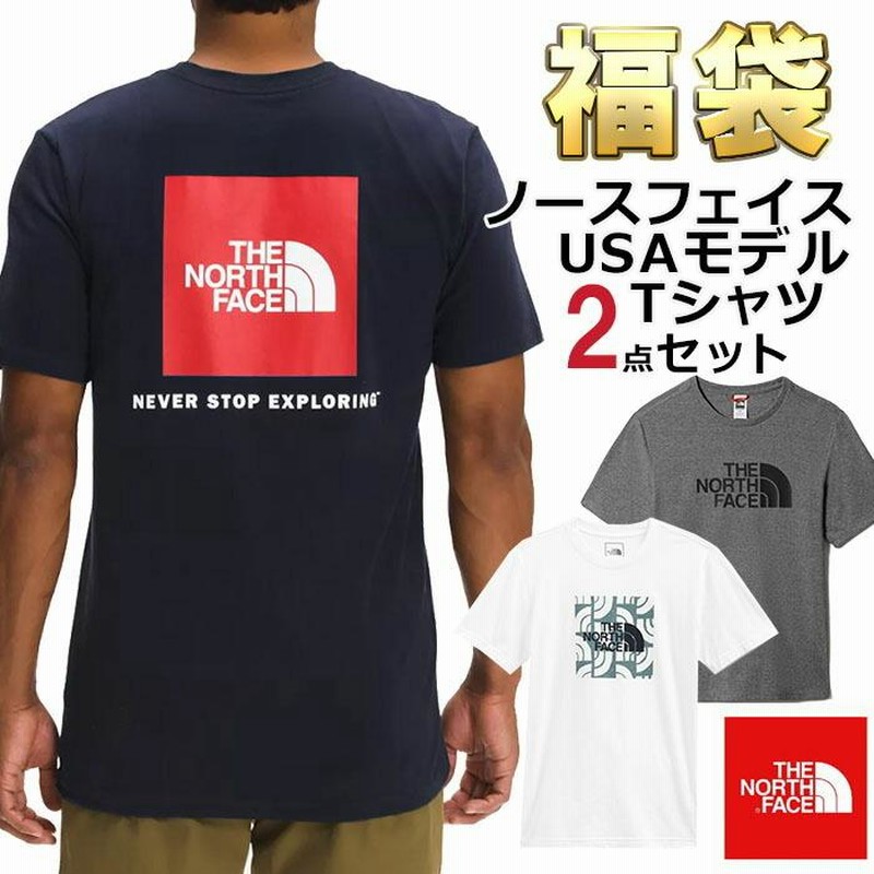 P最大17倍6/30限定 ノースフェイス Tシャツ 福袋 メンズ 2枚セット USAモデル 2枚組 THE North Face 半袖Tシャツ  2点セット メンズ 福袋 2024 予約 | LINEショッピング