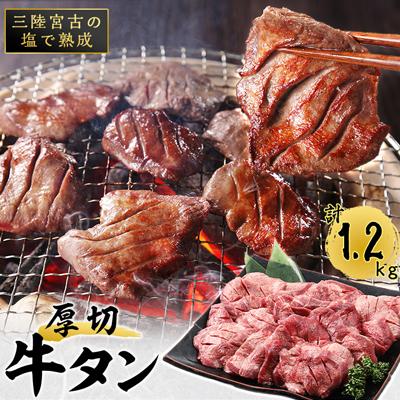 ふるさと納税 宮古市 三陸宮古の塩を使用した熟成牛タンスライス味付け1.2kg(200g×6)