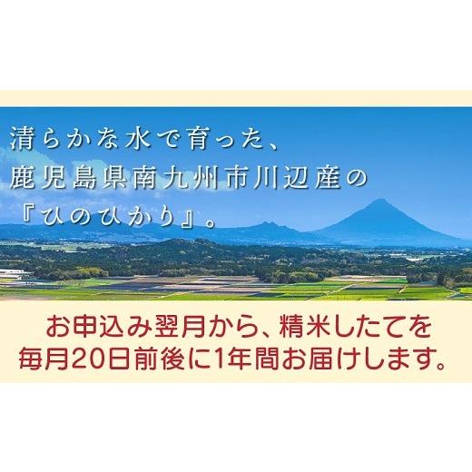 ふるさと納税 鹿児島県 南九州市 鹿児島県産米ひのひかり10kg定期便 013-07