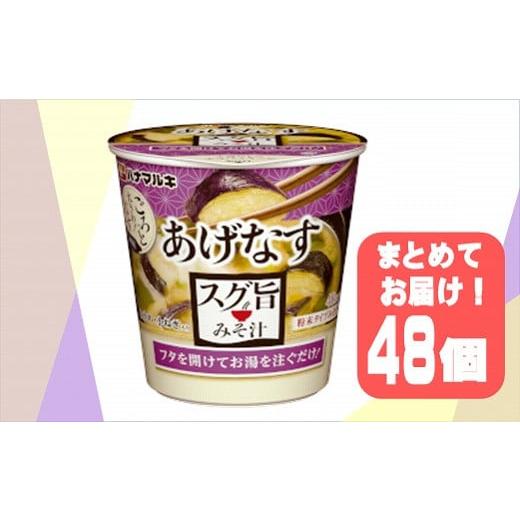 ふるさと納税 群馬県 大泉町 ハナマルキ　スグ旨カップみそ汁　あげなす（48個セット）