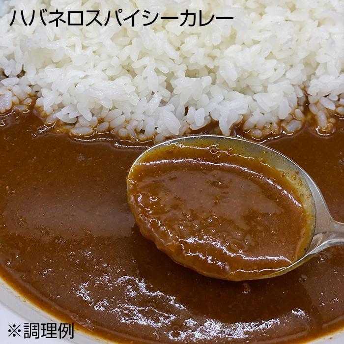 送料無料 ご当地カレー ハバネロスパイシーカレー＆ドクターイエローカレー 各5食セット |b03