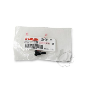 【4%點數】『油工廠』山葉原廠 YAMAHA 4DM 傳動外蓋(塑膠外蓋)螺絲【樂天APP下單限定】
