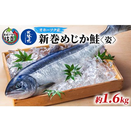 ふるさと納税 北隆丸 新巻めじか鮭〈姿〉約1.6kg オホーツク枝幸産 北海道枝幸町