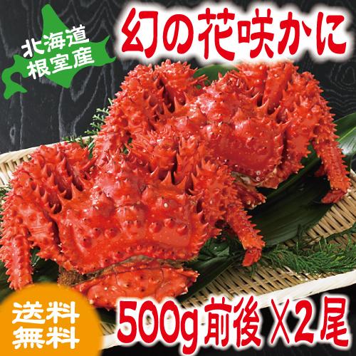 かに　カニ　蟹　花咲ガニ　北海道産　花咲かに　花咲かに(オスメス無選別) 500g前後×2尾　お歳暮 年末予約受付中!