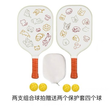 保固🥇匹克球拍套組 pickleball球拍 皮克球 初學者適用 碳纖維匹克球拍專業新手入門學校比賽訓練運動套裝法布銳