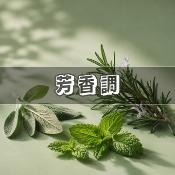 「芳香調體驗組」柑橘草本｜辛香花木｜通勤治癒 清新柑橘草本木質試香 精選 5支 2ml 香水試管小樣