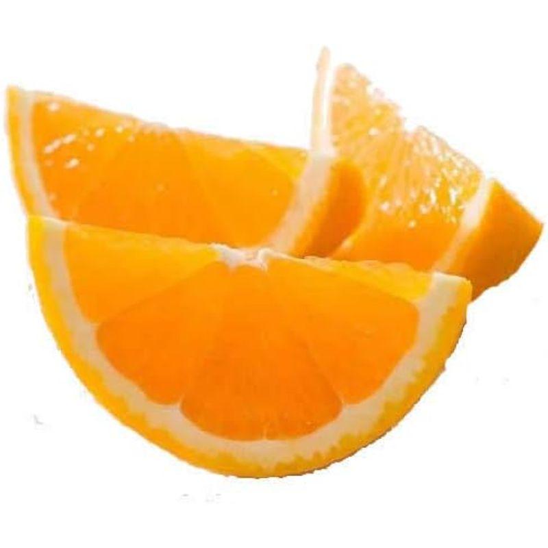 完熟 オレンジ 約4?（16?24玉入り）ネーブル時期によりバレンシア アメリカ産またはオーストラリア産