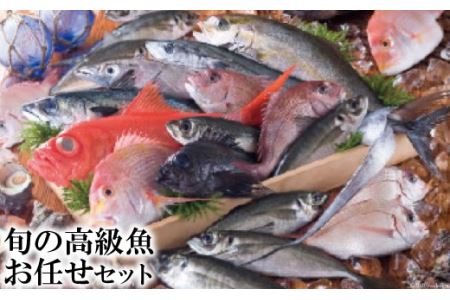 旬の高級魚お任せセット   田中鮮魚店   長崎県雲仙市