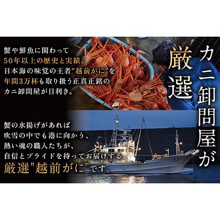 ふるさと納税 越前がに（オス）「ずわいがに」（400g〜600g） 訳あり 1杯 福井県越前市